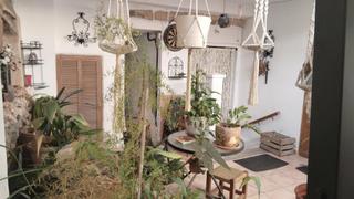 Casa  Carrer de zavella. Casa con gran jardín en felanitx