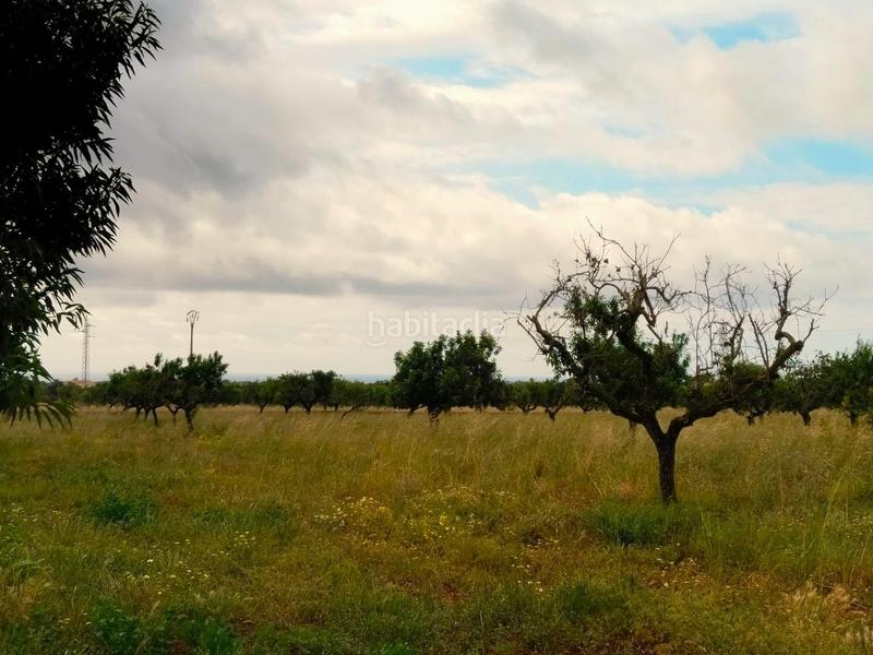 Foto 082de137-51d0-4576-8252-b423044a47ff. Residential plot in S´Horta - Cas Concos des Cavaller - Es Carritxó Felanitx