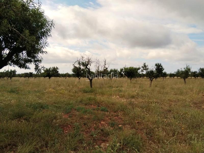 Foto ad29dc0c-f0ca-4c95-b906-160782763efe. Residential plot in S´Horta - Cas Concos des Cavaller - Es Carritxó Felanitx