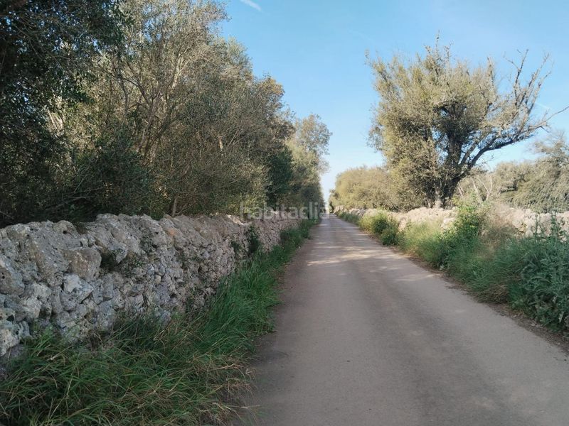 Foto 6abcdd56-1f89-4da8-b2dd-134ec369508d. Finca rústica a Felanitx poble Felanitx