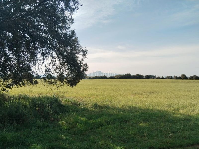 Foto efef30c3-40d7-4242-9f86-04ae37f5da2d. Finca rústica a Felanitx poble Felanitx