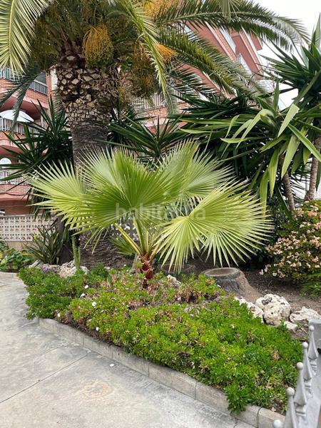 Foto a25ed373-16ec-45c8-a339-0f3b6bb4c0f4. Attique avec piscine dans La Pineda Vila-seca