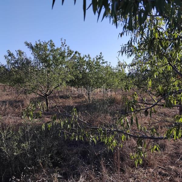 Foto c0bd8e77-18b6-457e-9c38-a2c11bfa2b97. Propriété dans Platja de Mont-roig Mont-roig del Camp