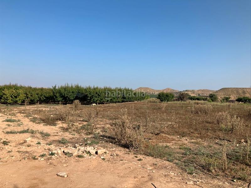 Foto 1158b0a0-2603-4b3a-a86f-edd57752f6be. Finca rústica a Fraga