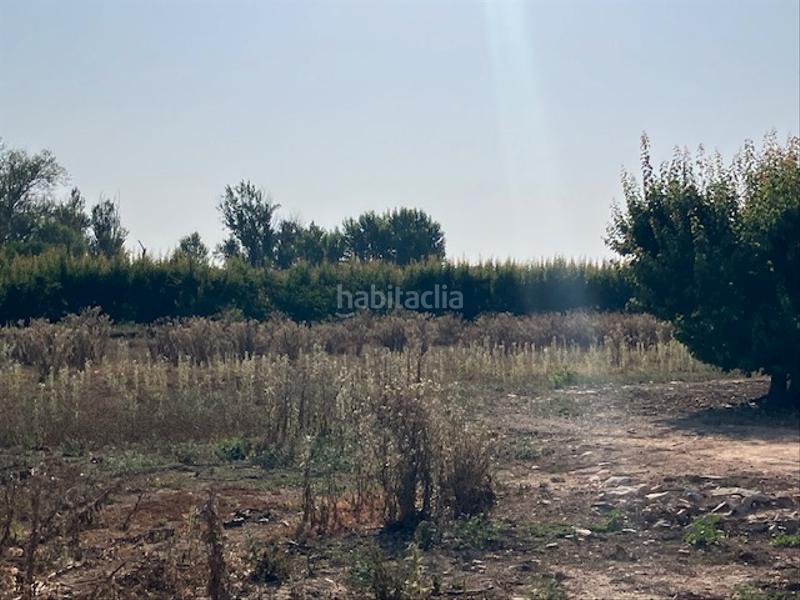 Foto 438e8959-d3f4-48f1-8e5b-97732faff827. Finca rústica a Fraga