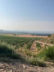 Finca rústica a Fraga. Finca de recreo con capacidad de edifciación