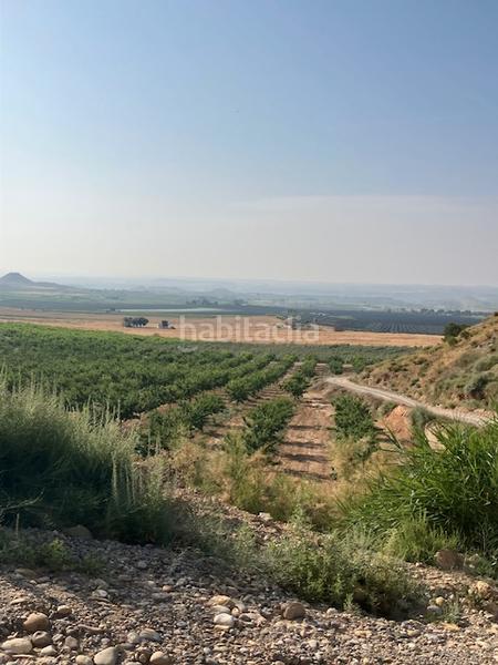 Foto 56a87d35-74a7-4cd3-bedf-d1f9e908ffc9. Finca rústica a Fraga