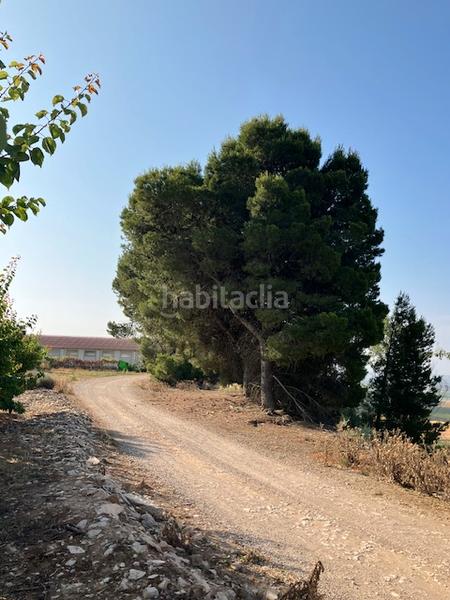 Foto 599bb3a1-f571-4f38-85a0-3802ac7b18c3. Finca rústica a Fraga