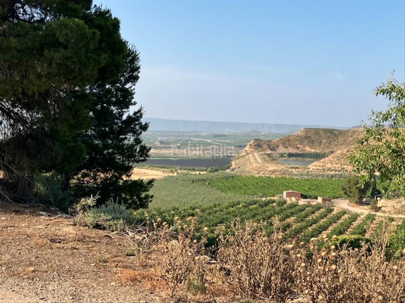 Foto 5a3ce62b-7757-4c5a-a175-09ed06303a8b. Finca rústica a Fraga