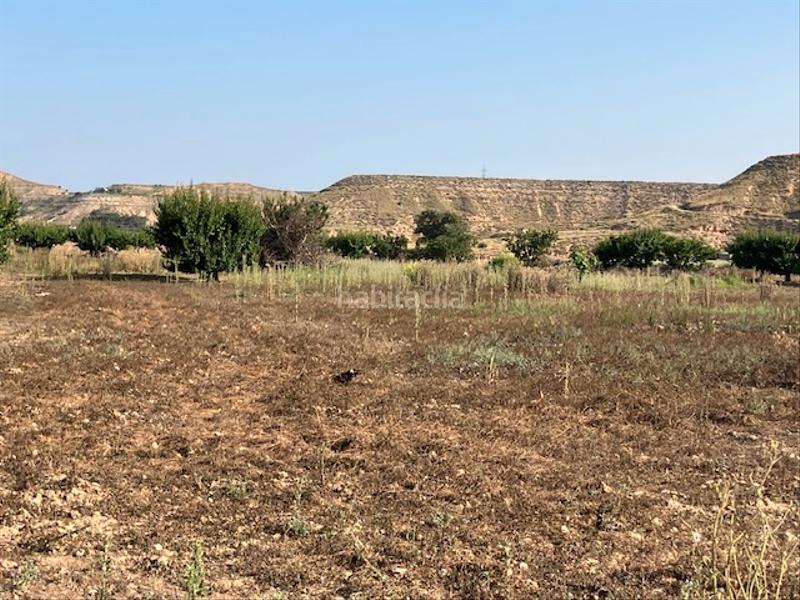 Foto b5926f2b-b635-4f68-b0f0-af1315e8974d. Finca rústica a Fraga