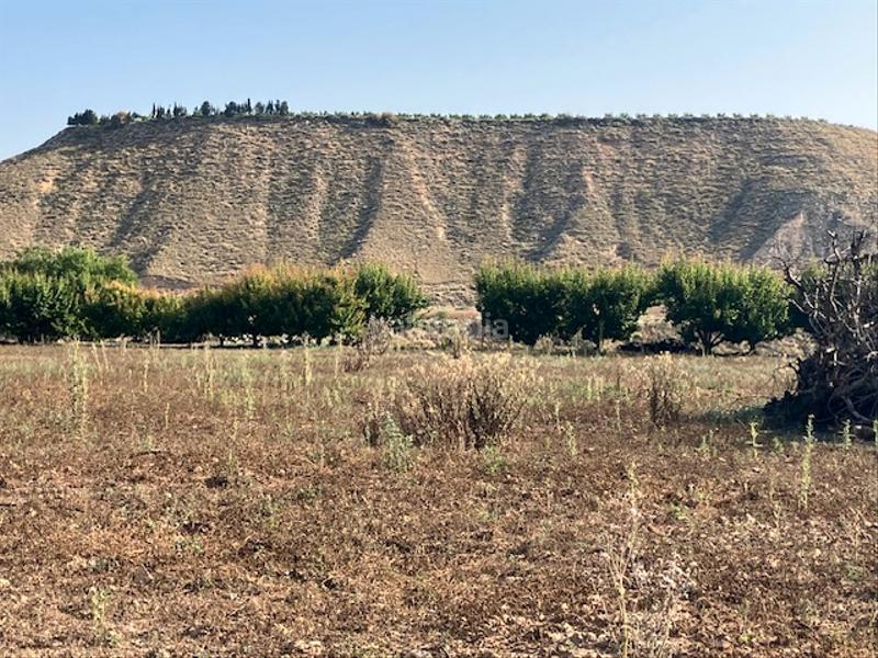 Foto e389dbb3-f9f9-4b96-a85d-a1aff9a3dc74. Finca rústica a Fraga