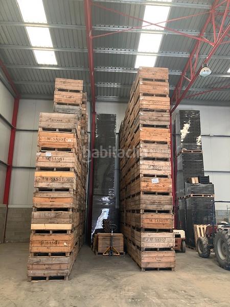 Foto 27477712-c795-49be-aa14-787d06678e1a. Alquiler nave industrial nave hortofrutícola en alquiler en Ballobar