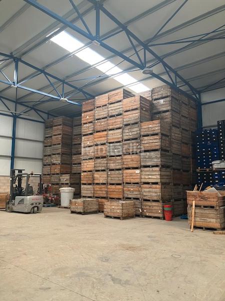 Foto 3bd3a0f9-61f5-4ab8-8dcf-41ab4c893a9b. Alquiler nave industrial nave hortofrutícola en alquiler en Ballobar