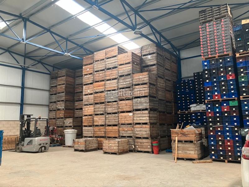 Foto a8aa777b-fed5-4faa-a7de-eff0d63789a3. Alquiler nave industrial nave hortofrutícola en alquiler en Ballobar