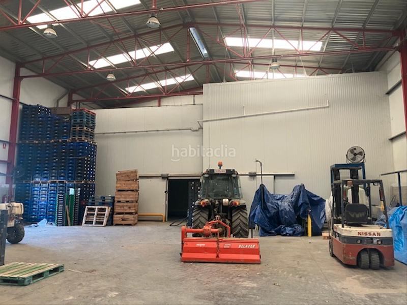 Foto d17b0fd5-6f70-45d8-b574-561eb8f322c9. Alquiler nave industrial nave hortofrutícola en alquiler en Ballobar