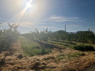 Fondo rustico  Avenida de madrid. Finca rústica