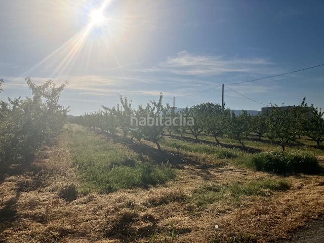 Foto 525500ca-2087-464f-8cd5-42326737846a. Finca rústica a Fraga