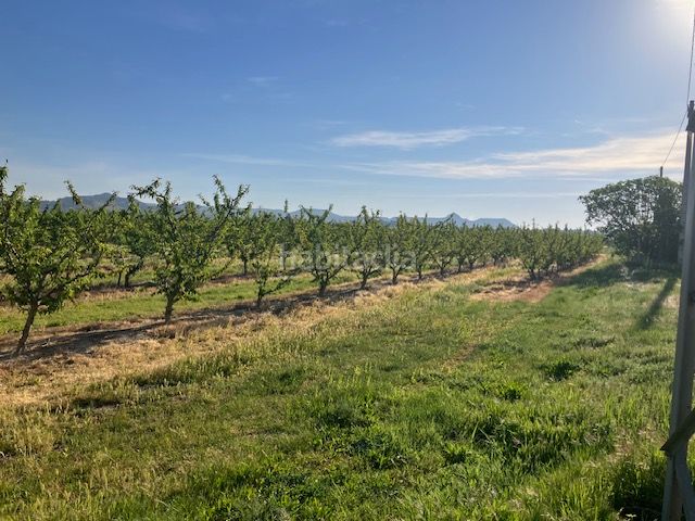 Foto d825efd1-9b0b-45ef-8a4b-c95f7fa7c115. Finca rústica a Fraga