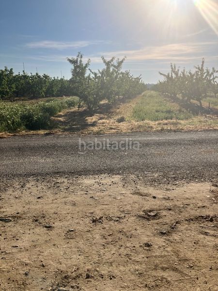 Foto e52f95dd-6343-4281-afb8-8994c2bb537e. Finca rústica a Fraga