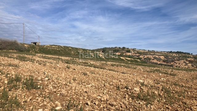 Foto 0a229b84-5aa2-40c8-b715-e6e1e5c80f37. Finca rústica  en Fraga