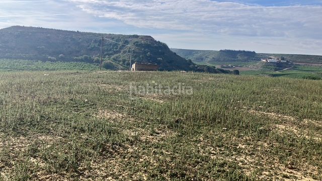 Foto 36414498-2b01-4331-8f0b-3f846b65a4f7. Finca rústica  en Fraga