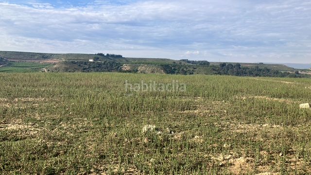 Foto 42088ca4-c2e3-40fc-bd3f-885e78513a02. Finca rústica  en Fraga