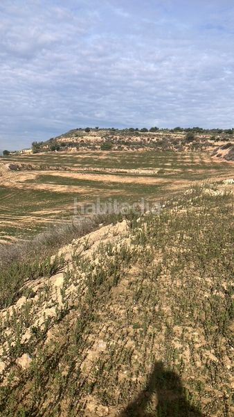 Foto 4e2d0c14-675a-488c-ad40-b270f7749170. Finca rústica  en Fraga