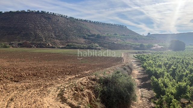 Foto 54cec9f1-ab6a-4cad-b6e6-beeb3f6956d3. Finca rústica  en Fraga