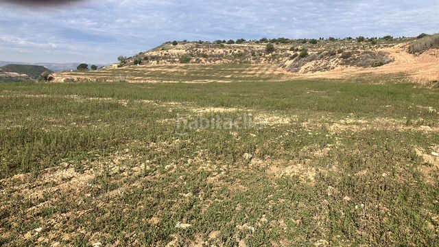 Foto aa6e2748-6996-4b84-9a06-646804a6e88a. Finca rústica  en Fraga
