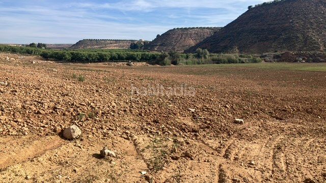 Foto c2d020cb-8547-47fc-9766-fe27e2830524. Finca rústica  en Fraga