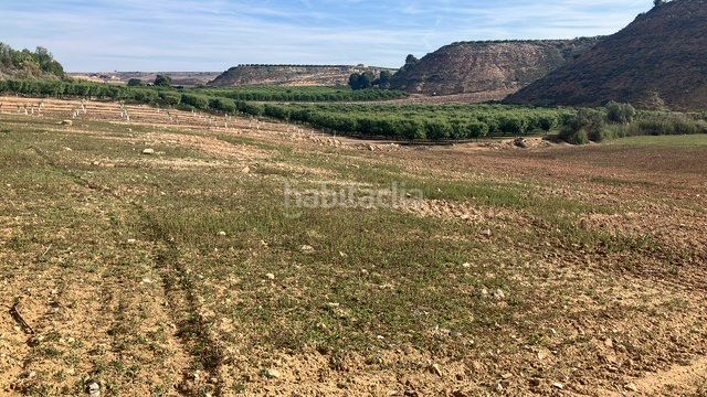 Foto e0f22368-9a83-4a75-897b-8b7048d52528. Finca rústica  en Fraga