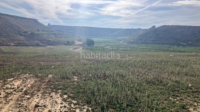Foto ed21a783-7ae9-41fa-883d-1661eef7b17f. Finca rústica  en Fraga