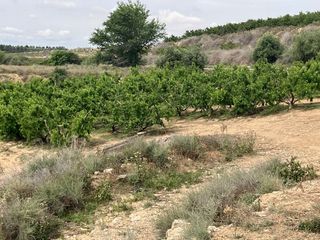 Finca rústica a Fraga