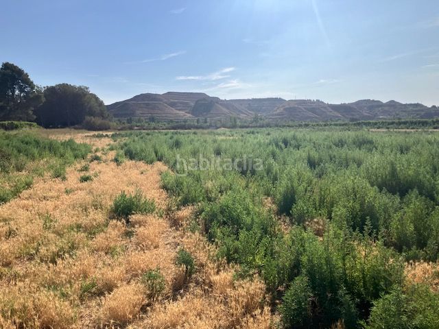 Foto 3606f520-258d-4163-aa0f-bed040a63193. Finca rústica a Fraga
