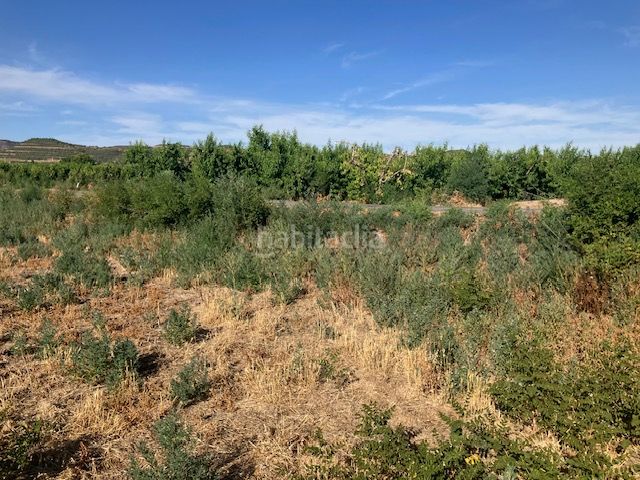 Foto 44c9c4bd-06e3-4b60-893b-42cc442410e9. Finca rústica a Fraga