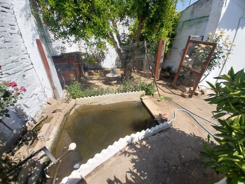 Foto ab48cd45-d56e-44ff-8292-eed5d4a70756. Finca rústica a Alcarràs