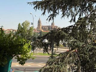 Pis a Tormes - La Vega