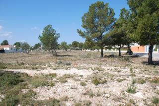 Terreny residencial  Carrer ponent. Promoción parcelas en calafat !!