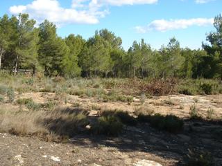 Terreno residencial en Urbanitzaci san jorge s autop 10. Parcela en sant jordi d'alfama