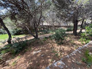 Terreno residencial  Carrer ginesta. Parcelas en primera linea de mar