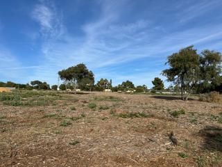 Rural plot en Los Franceses - La Vega. Parcelas indivisas de 500 metros aproximadamente en la zona de l