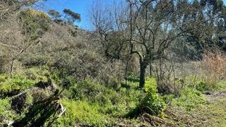 Finca rústica a Urb berrocanes.area de reparto 20-e,parcela a 0,ourense. Tenemos la parcela que andas buscando! suelo con obra en gestión