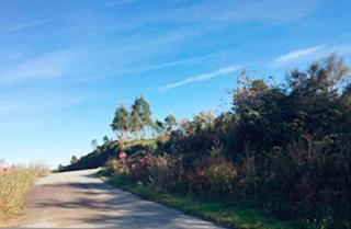 Finca rústica a Calle pena corveira, s/n, sector sud-3, pol.507 parc.203 0,santi. Parcela de suelo en desarrollo en venta en santiago de compostel