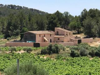 Country house in Can Lloses - Can Marcer. Masía en venta  can bertran  sant pere de ribes  barcelona
