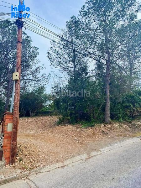Foto 975845c3-5260-433e-a0c2-78ffbdcfc9db. Terreny residencial a Olivella