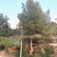 Residential Plot in Segur de Calafell Nucli Urbà. Parcela en venta en segur de calafell