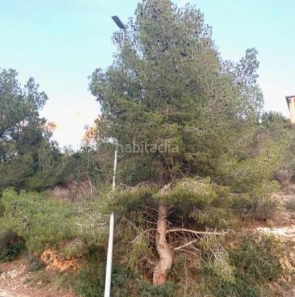 Foto 0c0471fe-2af1-4424-8164-d243a81c1052. Terreno residenziale in Segur de Calafell nucli urbà Segur de Calafell