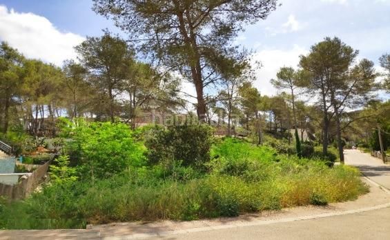 Foto 4fd0c822-8290-4089-aa1f-f04dd6a4d4b5. Terreny residencial a Olivella