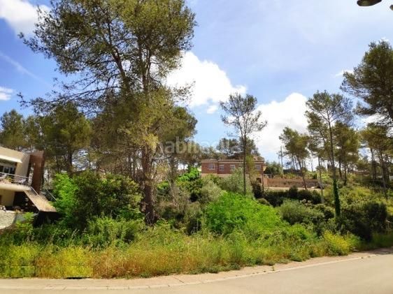 Foto 5c4f12a3-9785-42f1-8684-0a9988177494. Terreny residencial a Olivella