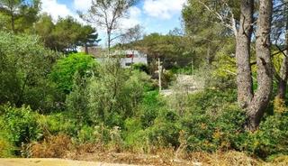 Residential Plot in Olivella. Terreno en venta en mas mestre. olivella